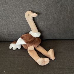 Stuffed Animal