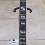 SX GUITAR ELECTRIC GUITAR Les Paul Style.