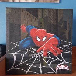 Spiderman Frame