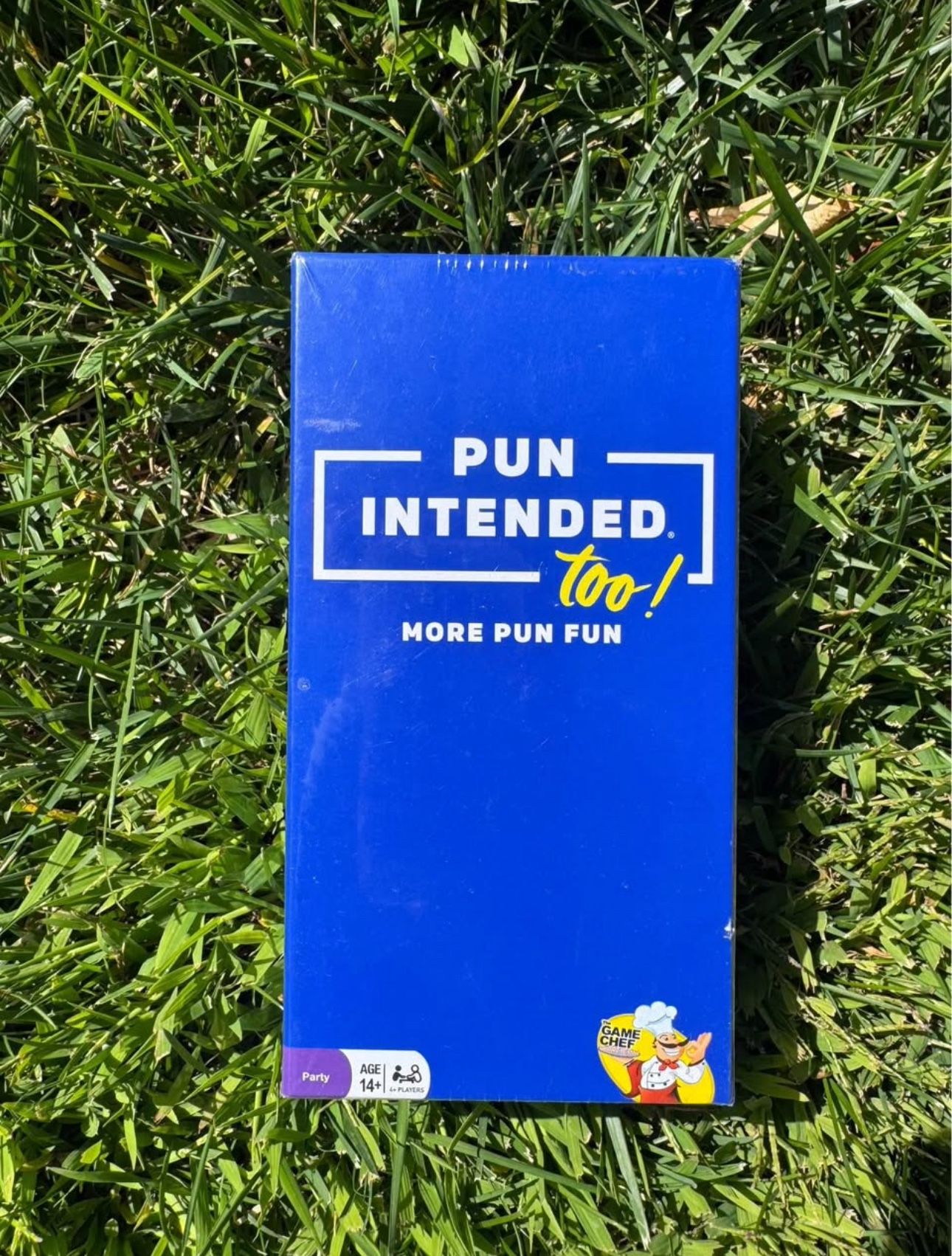Pun Intended Too! Party Game