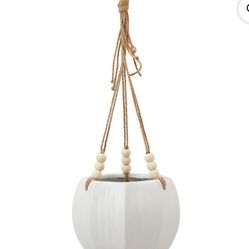 8 In Ceramic Pot With Accessories 