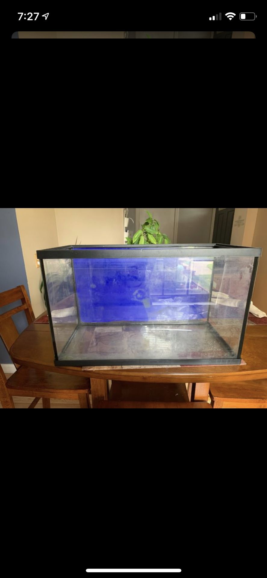 10 gal