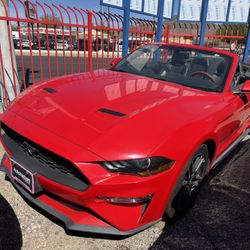 2019 Ford Mustang