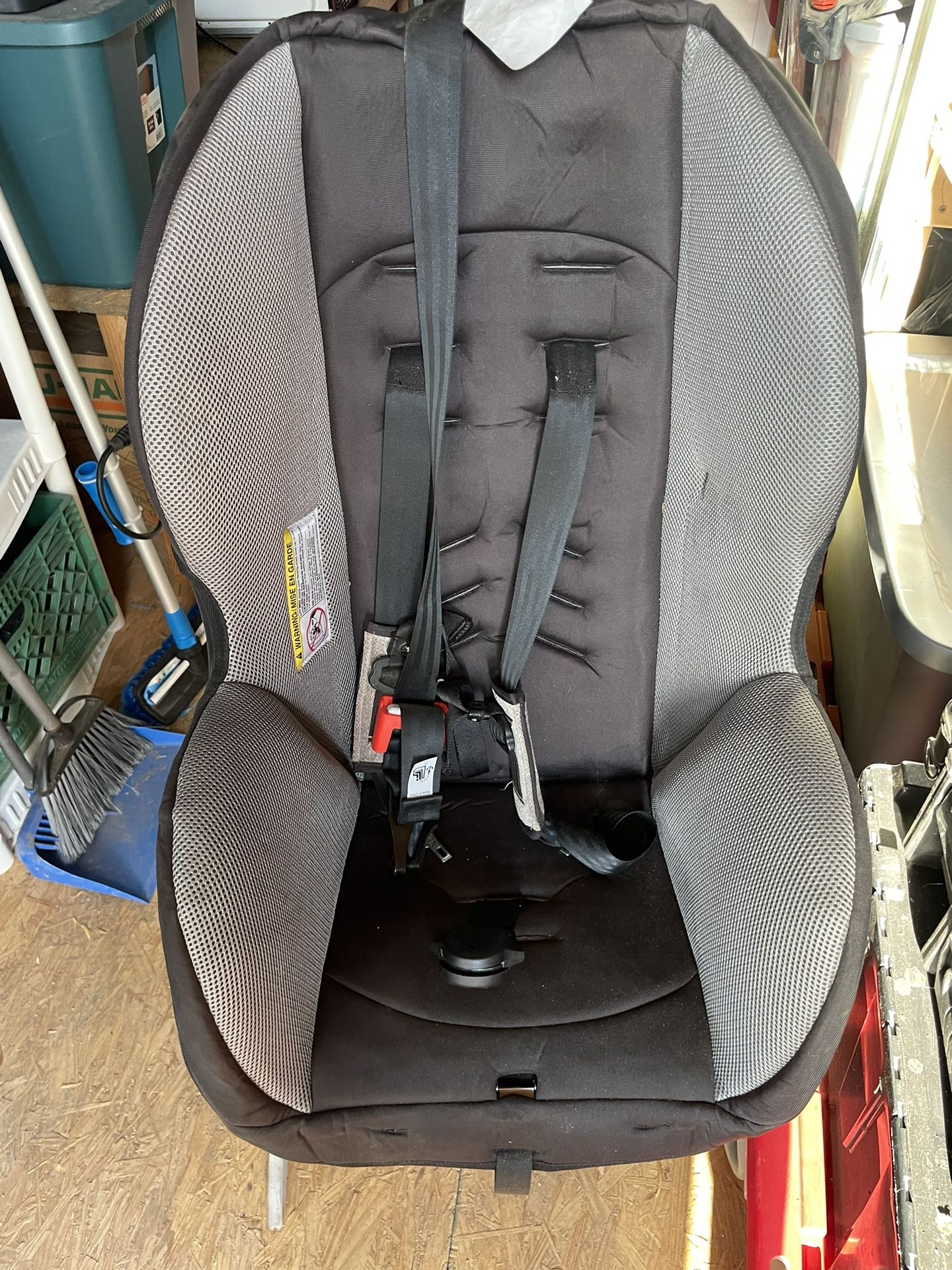 Toddler Carseat