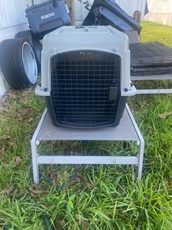 Portable dog kennel