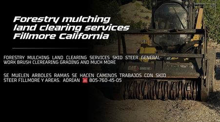 Bobcat molino