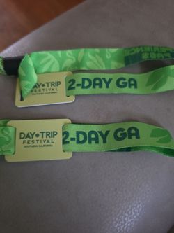 Day Trip Festival- Sunday only- 2 wristbands