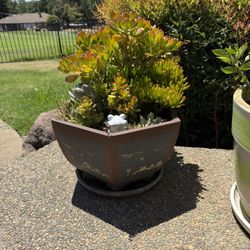 Large Ceramic Pot Includes Plant!