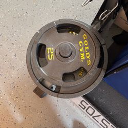 Gold Gym Weights With Wrack And 30 Pound Lifting Bar