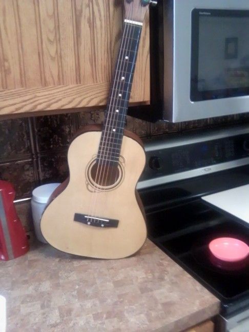 Guitar No Name Plays Need 1string 30.00