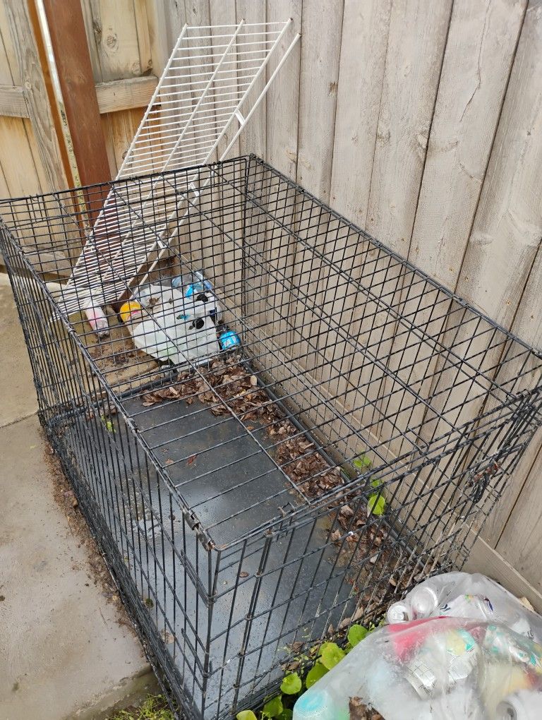 Animal Cage