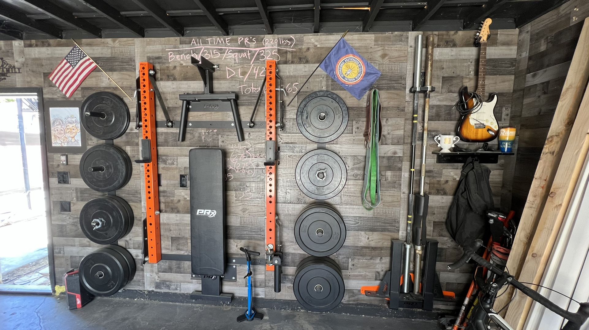Wall Mounted Gym Equipment PRx Performance