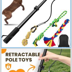 Flirt Pole for Dogs Heavy Duty Interactive Toys Tug of War with Detachable 3 Replacement Rope Toys for Chase and Outdoor Exercise & Training for Small