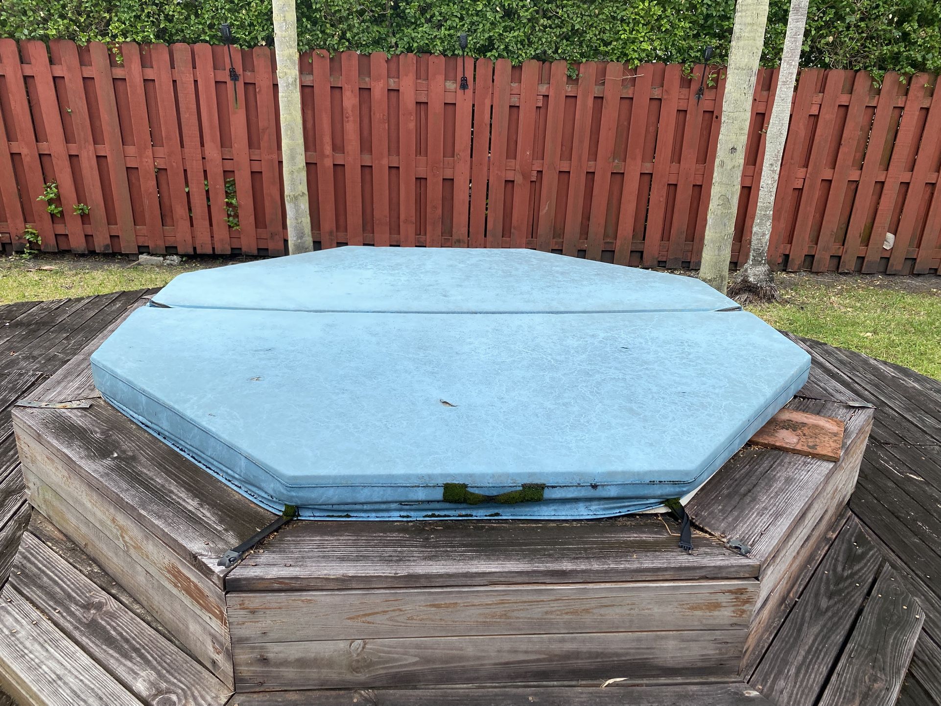 Jacuzzi And Pump
