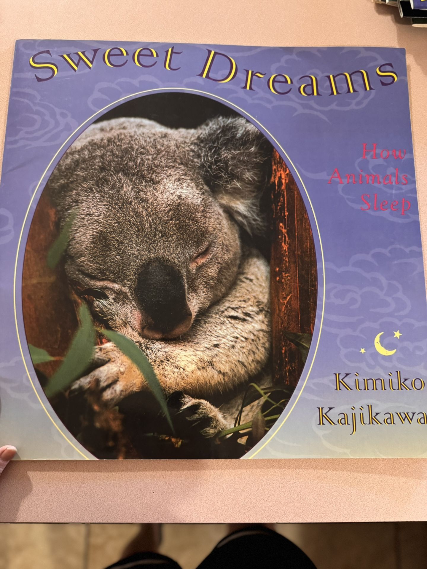Large Book “Sweet Dreams”