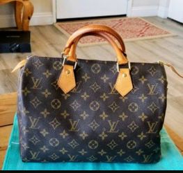 Louis Vuitton Speedy 30