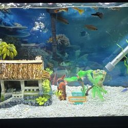 Fish Tank 50 Gallon