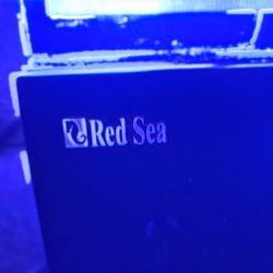 Red Sea Max265