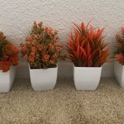 Set of 4 Plants