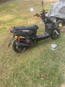 Ice bear Vision Moped/scooter Brand New 