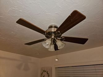 2 ceiling fans