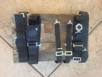 3” 5 point race harness seatbelt
