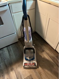 Shampooed