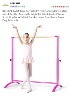 Pink Ballet Barre Ballerina Bar SP37447