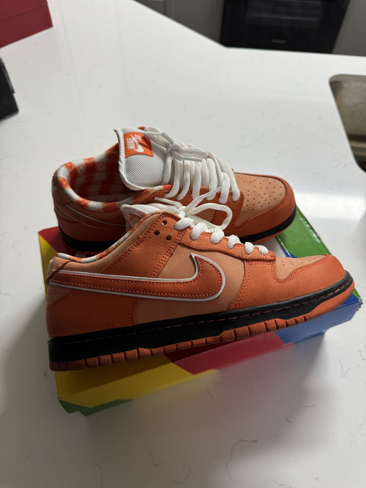 Nike Dunk Sb