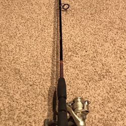 Shimano and Shakespeare Ugly Stick Combo