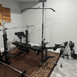 Weight Lifting Equipment Bundle