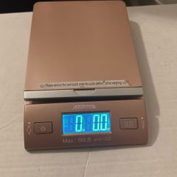 Accuteck Scale