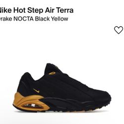 Nike Hot Step Air Terra 