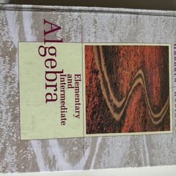 Elementary And Intermediate Algebra