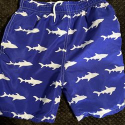 Boys Size 8 Swim Trunks