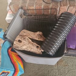 Guinea Pig Accessories 