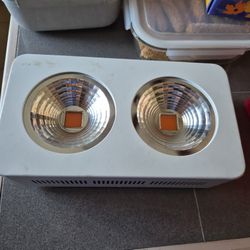 Roleadro 200W COB LED Grow Light used for indoor plant cultivation. 
