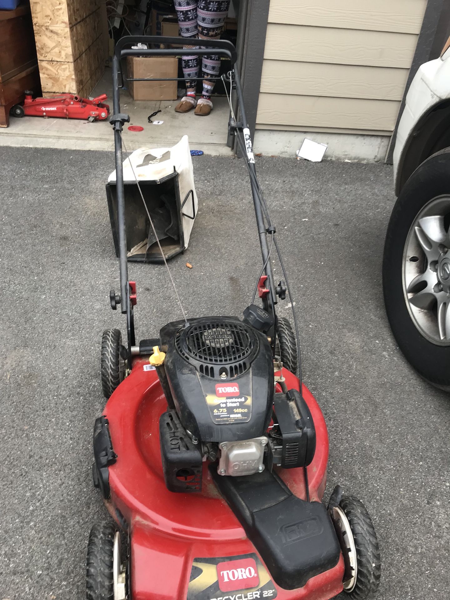 Toro