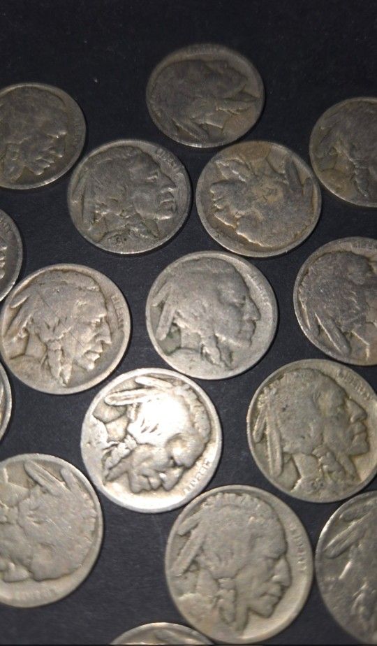 30 Buffalo Nickels