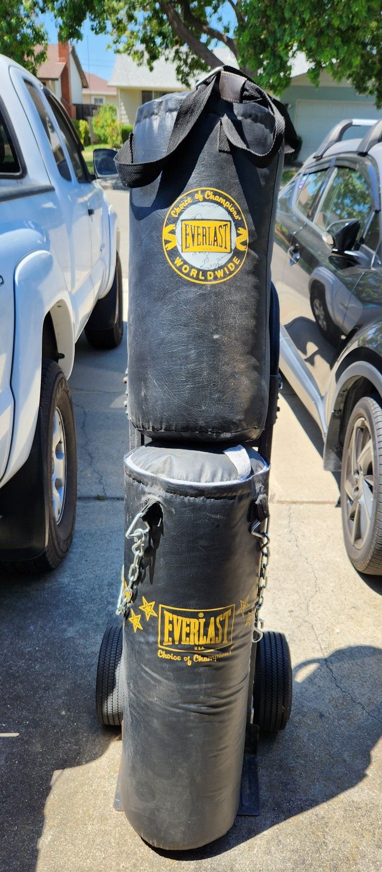 Punching Bags by Everlast