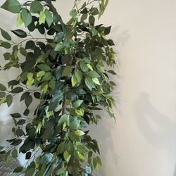 Large Plant Decoration 