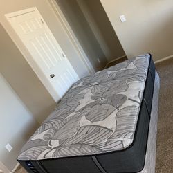 QUEEN SEALY MATTRESS AND FREE BOX SPRING
