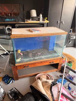 50 gallon fish tank