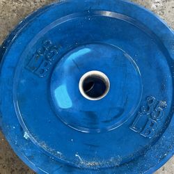 2 Blue 35 Weight Plates 