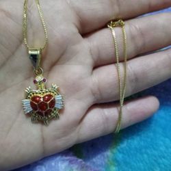Gold Plated Chain With The Pendant/Cadena Con Dije De Tortuga De Oro Laminado 