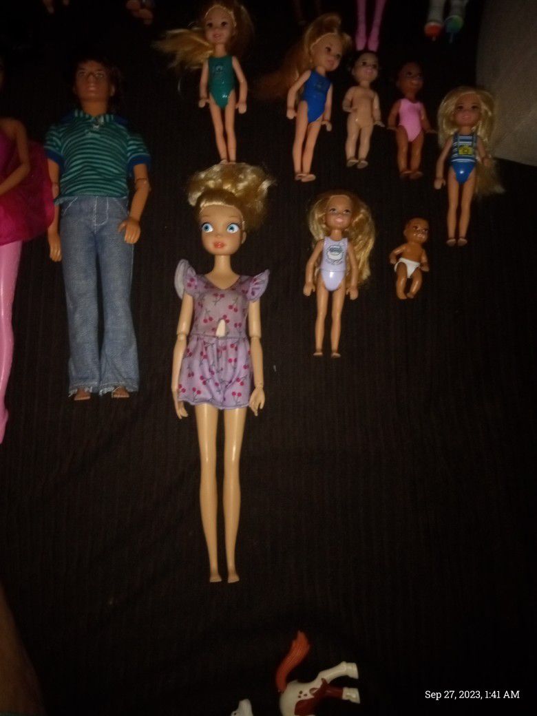 Barbie Dolls & Accessories 