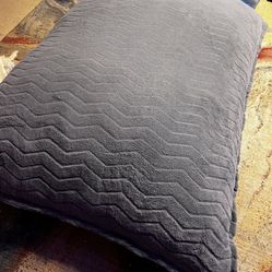 Free Súper Big Dog Pillow