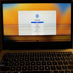 MacBook Pro 13” (Mid-2017)
