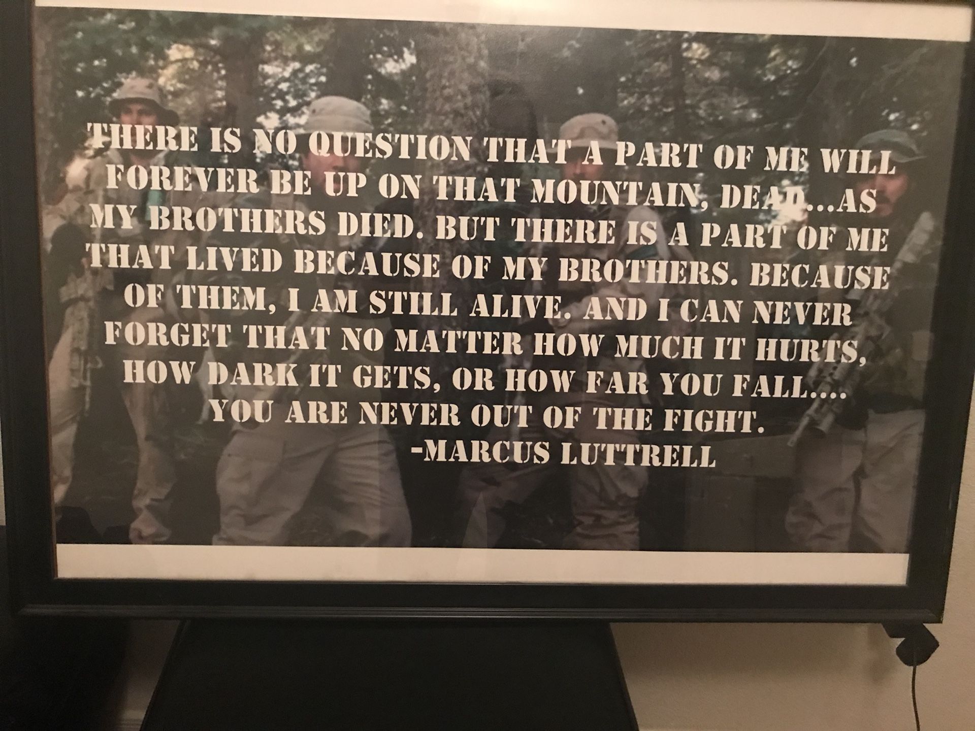 Lone Survivor Quotes