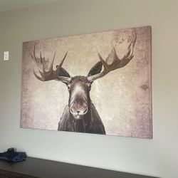 Moose